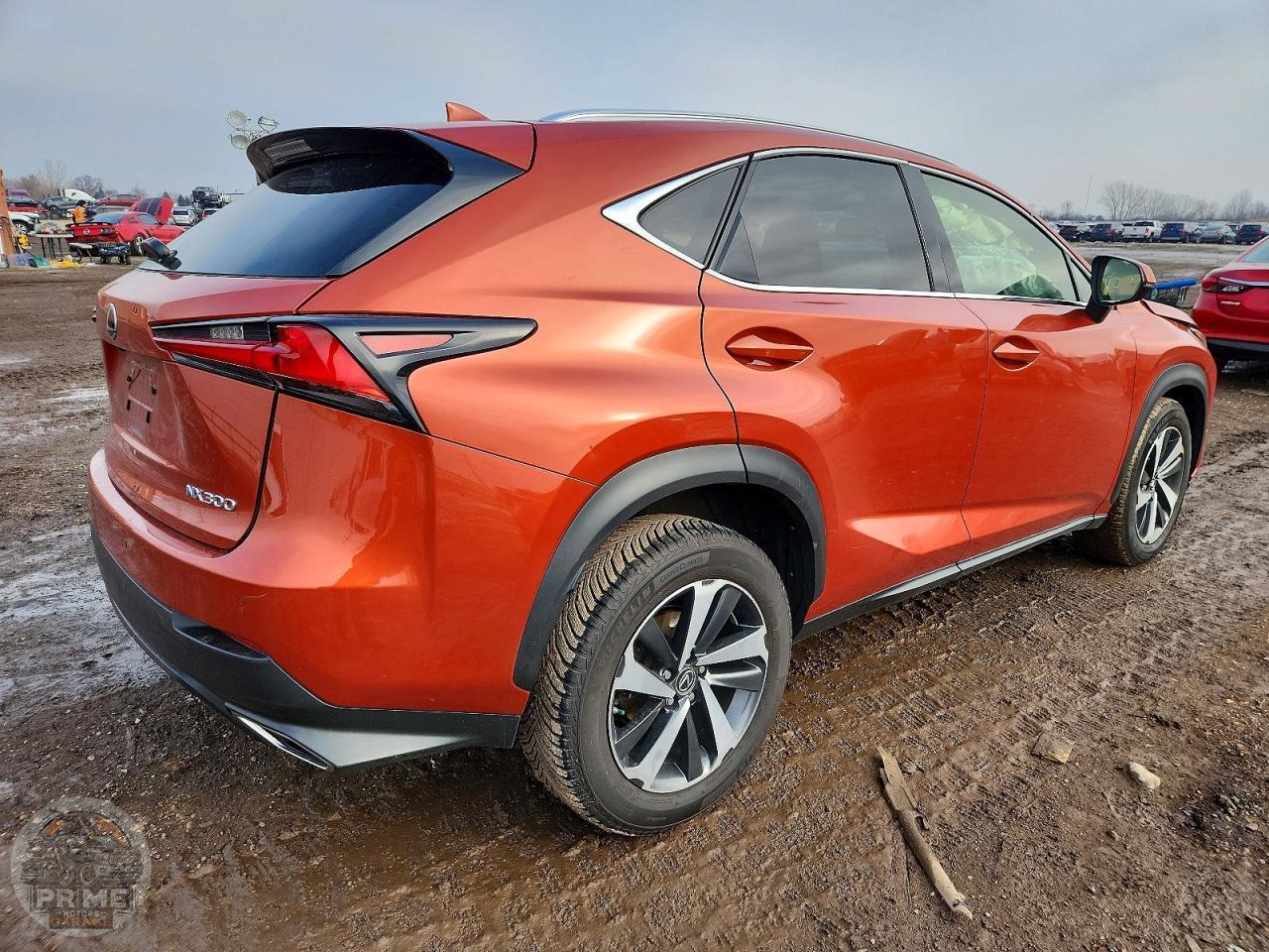 2021 LEXUS NX — фото 6
