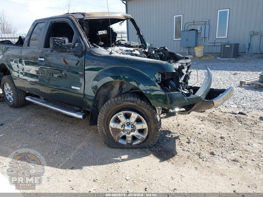 2014 FORD F-150 XLT