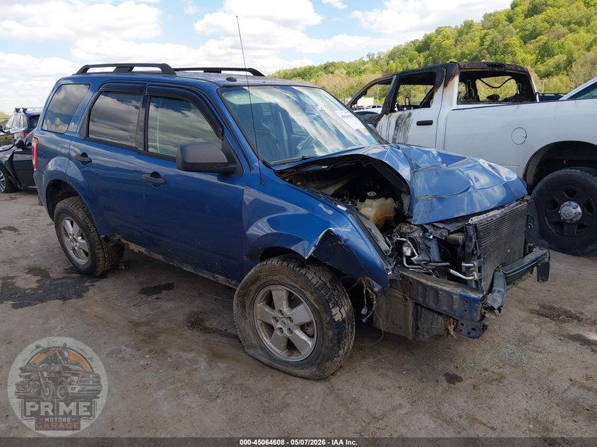 2009 FORD ESCAPE XLT