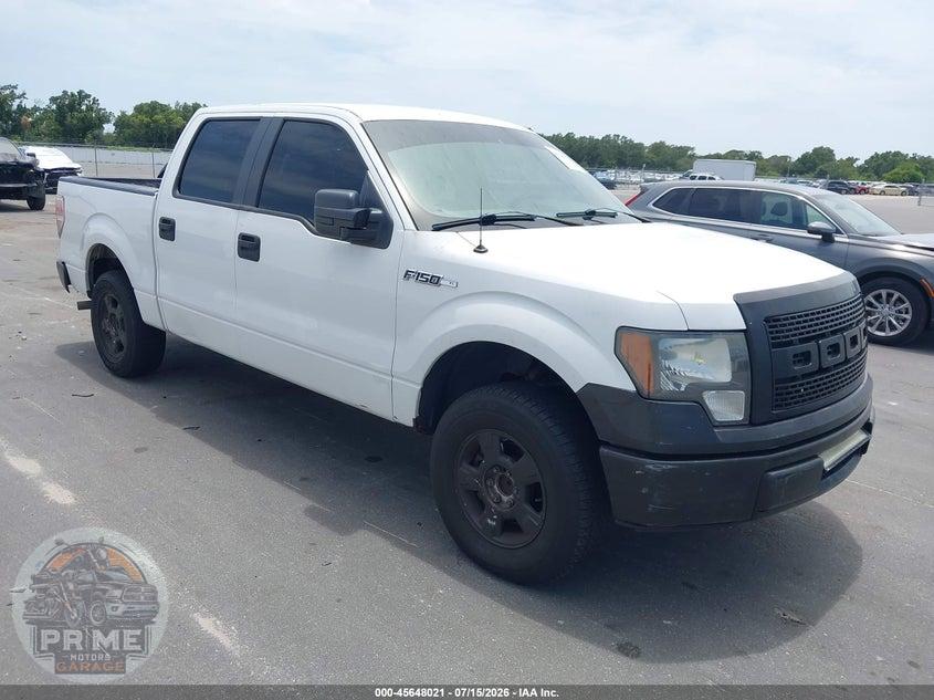 2009 FORD F-150 XL/XLT