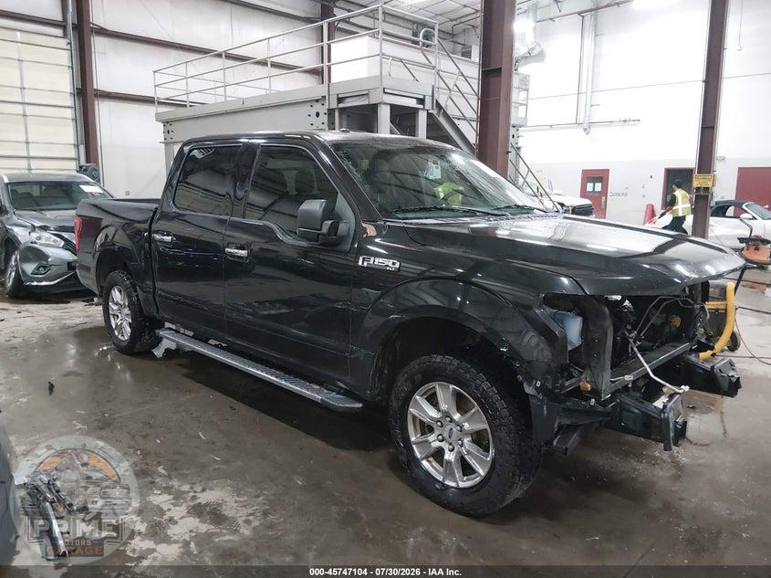 2015 FORD F-150 XLT