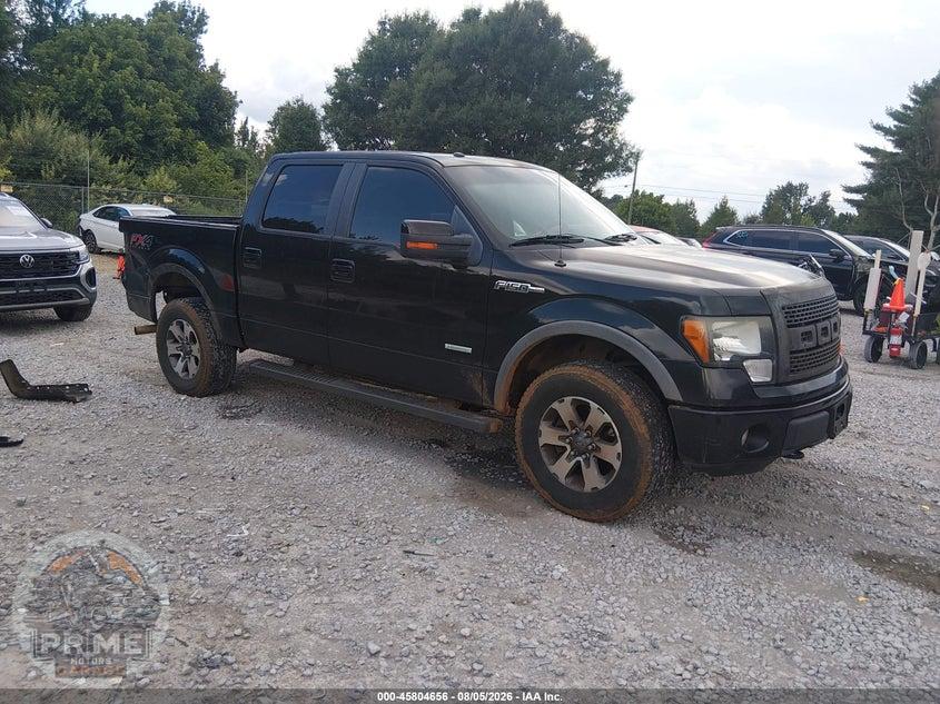 2013 FORD F-150 FX4