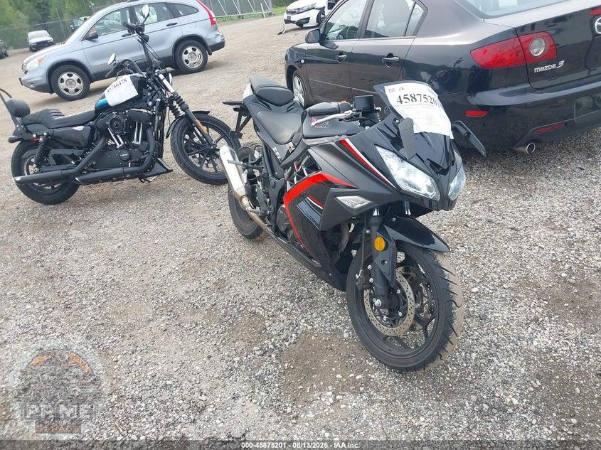 2023 BAODIAO ROADSTER 250