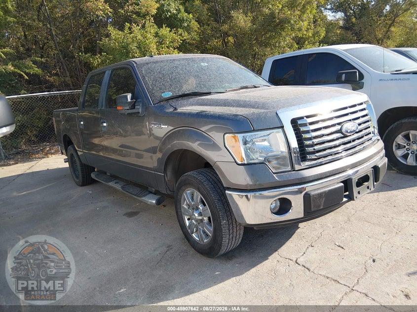 2010 FORD F-150 XLT