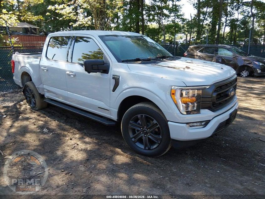 2023 FORD F-150 XLT