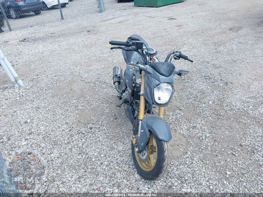 2024 KAWASAKI BR125 J