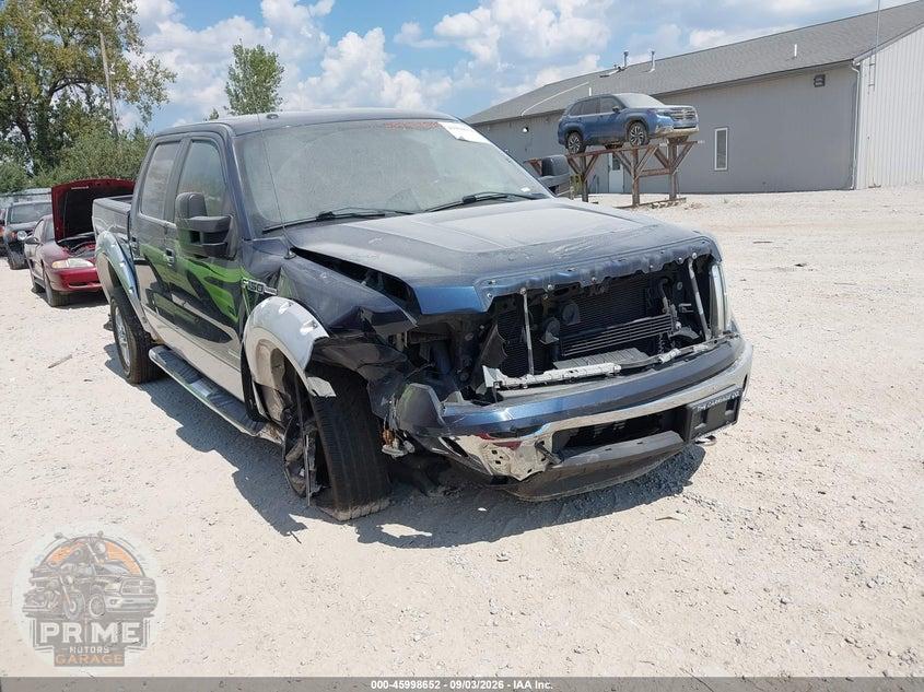 2013 FORD F-150 XLT