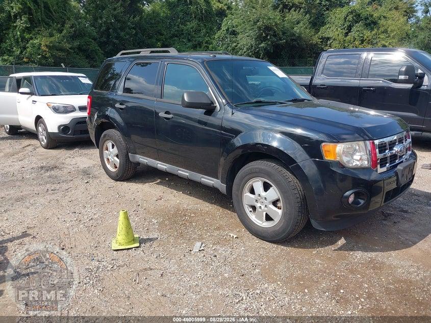 2012 FORD ESCAPE XLT