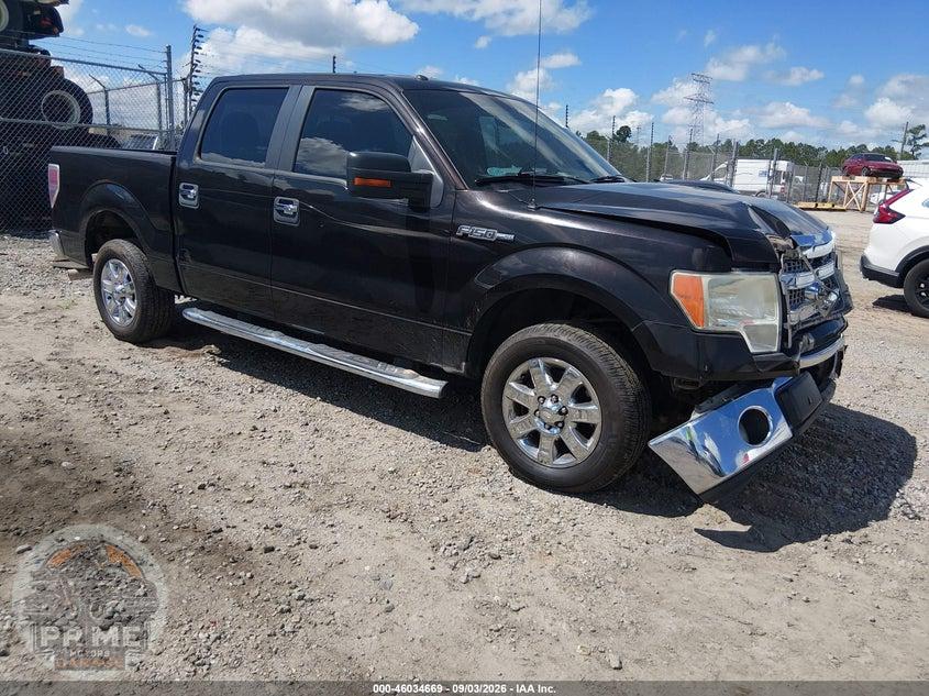 2013 FORD F-150 XLT