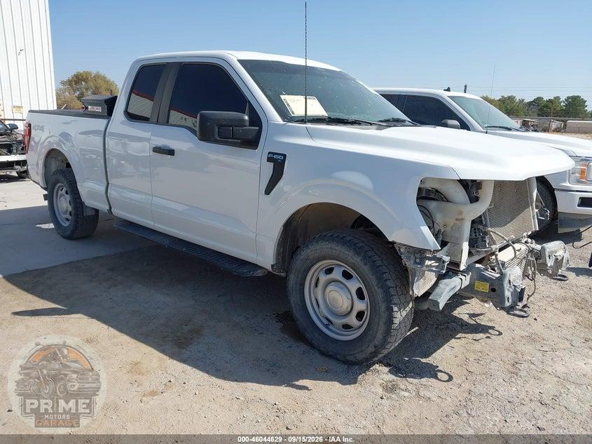 2024 FORD F-150 XL
