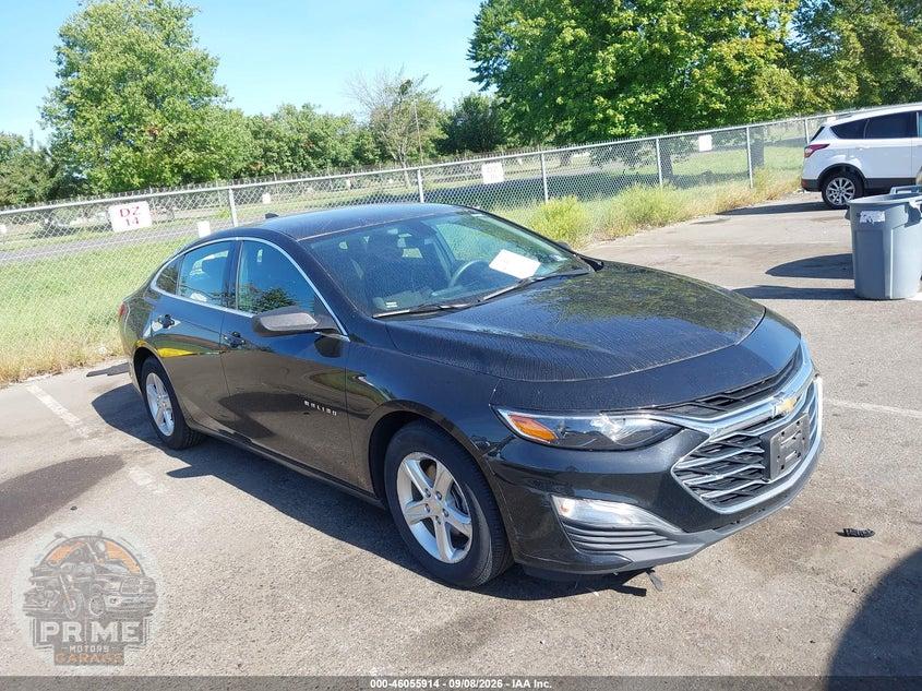 2019 CHEVROLET MALIBU 1LS