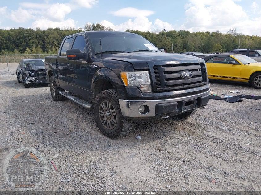 2010 FORD F-150 FX4/HARLEY-DAVIDSON/KING RANCH/LARIAT/PLATINUM/XL/XLT