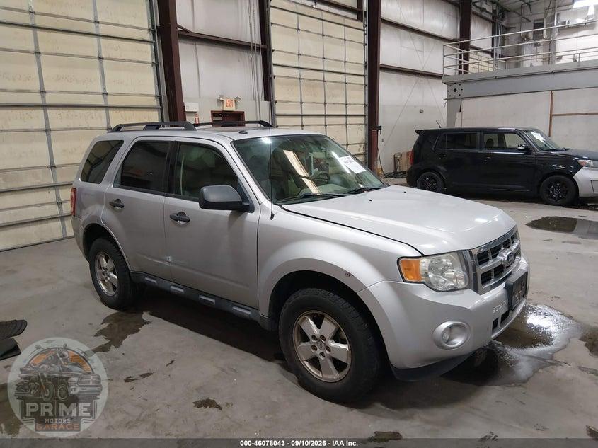2011 FORD ESCAPE XLT