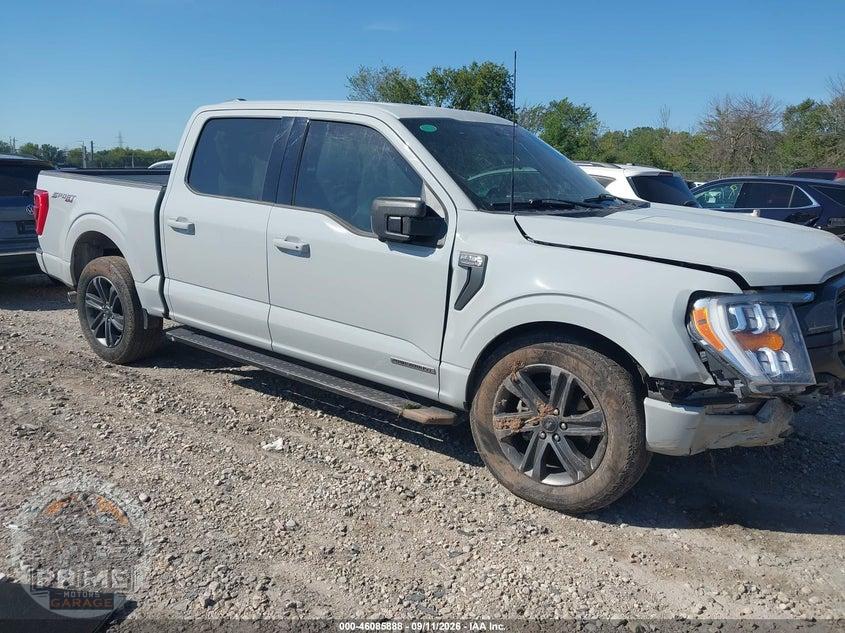 2023 FORD F-150 XLT
