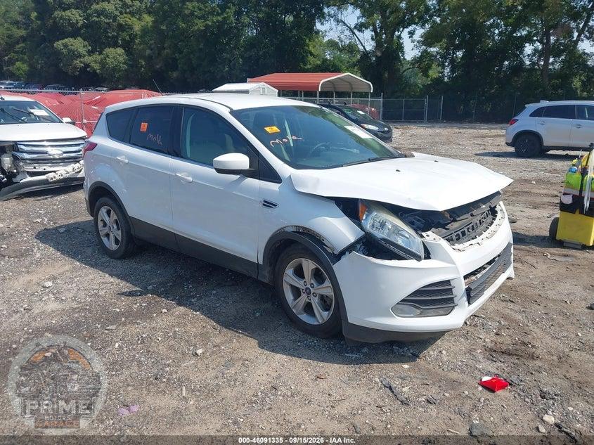 2013 FORD ESCAPE SE
