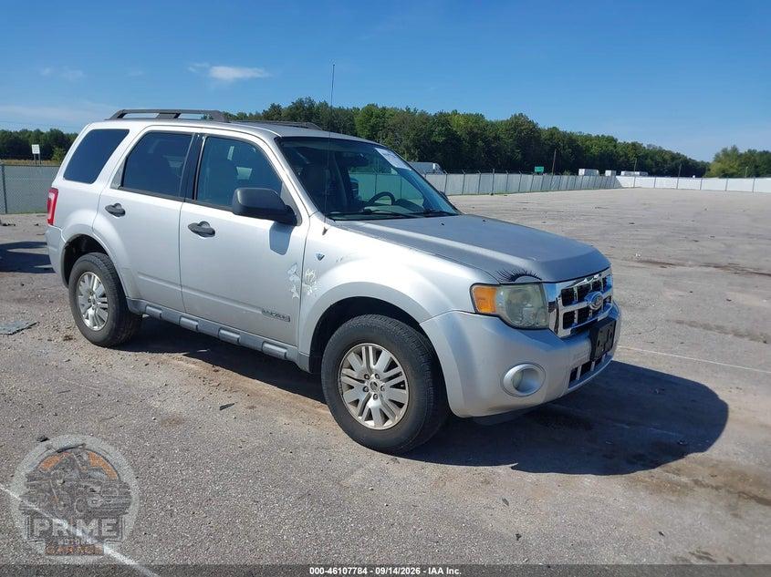 2008 FORD ESCAPE XLT