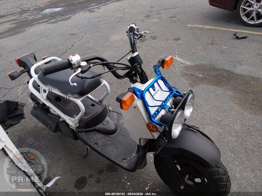 2023 HONDA NPS50