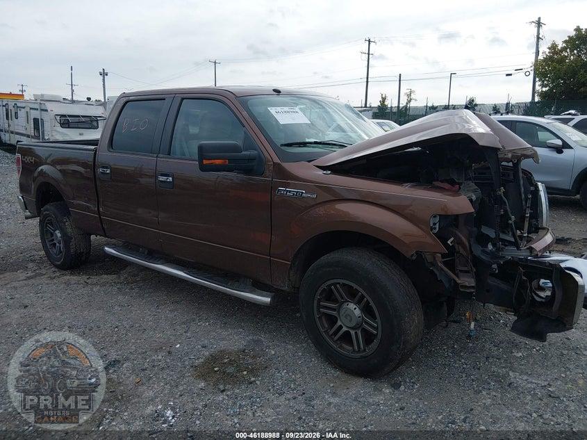 2011 FORD F-150 XLT