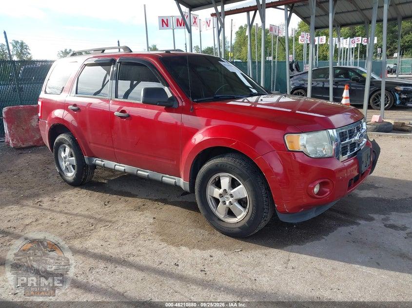 2011 FORD ESCAPE XLT