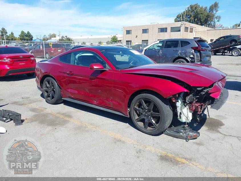 2019 FORD MUSTANG ECOBOOST