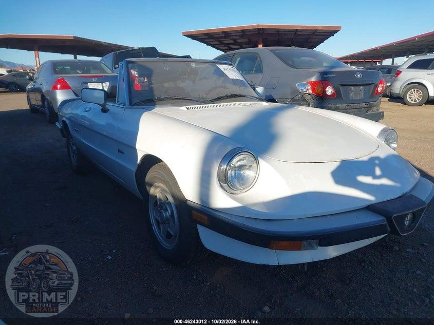1989 ALFA ROMEO SPIDER GRADUATE