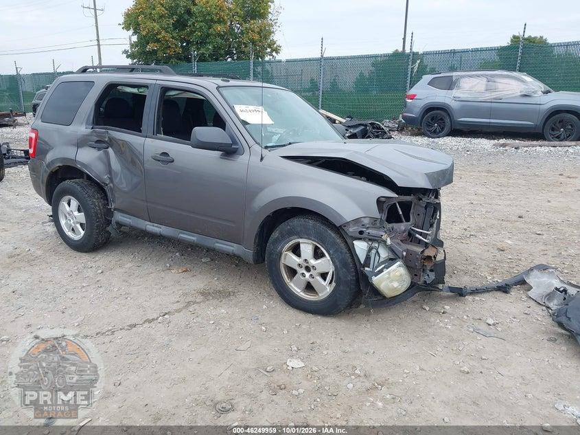 2011 FORD ESCAPE XLT