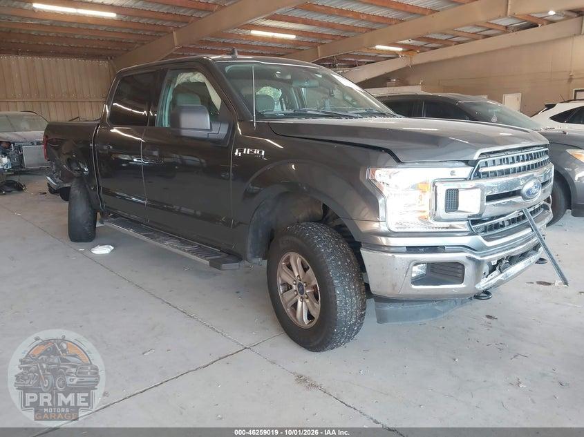 2019 FORD F-150 XLT