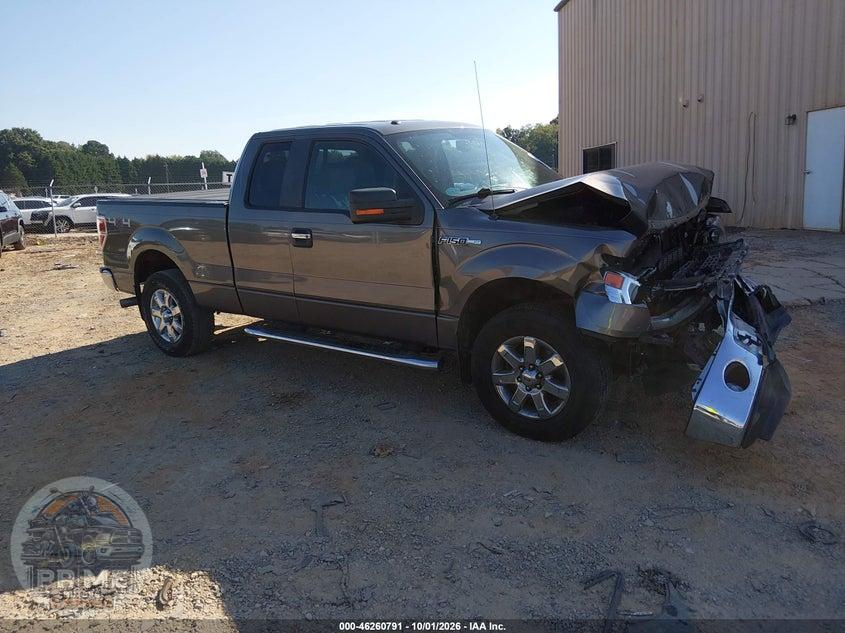 2014 FORD F-150 XLT