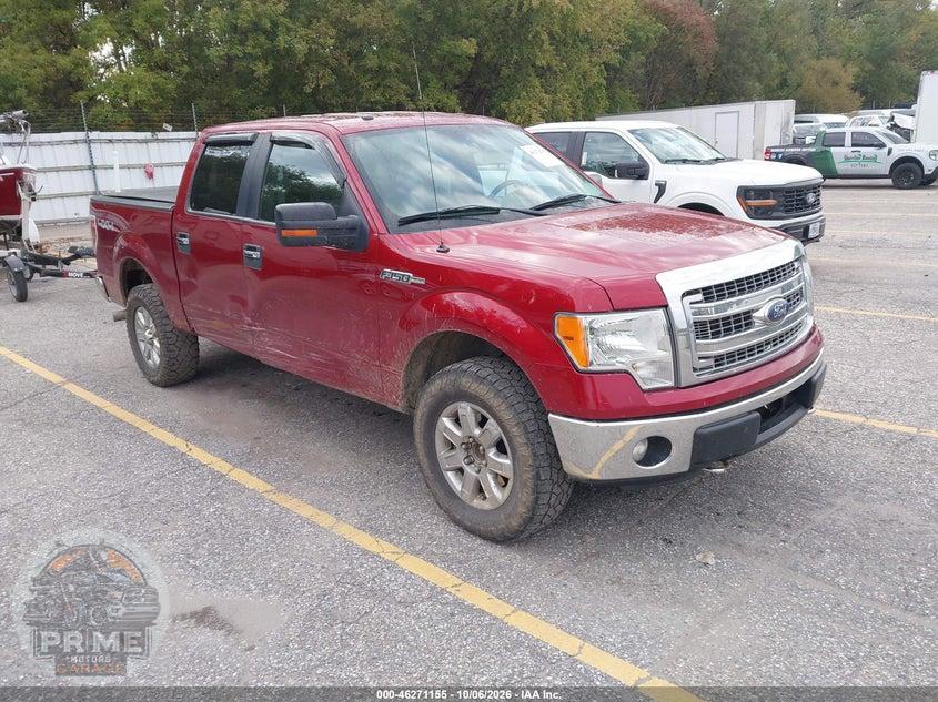2014 FORD F-150 XLT
