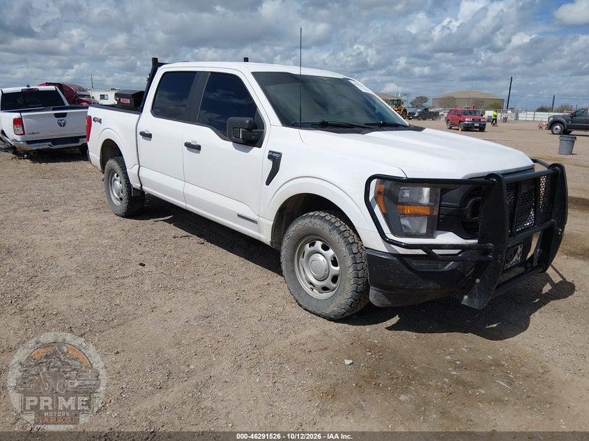 2023 FORD F-150 XL