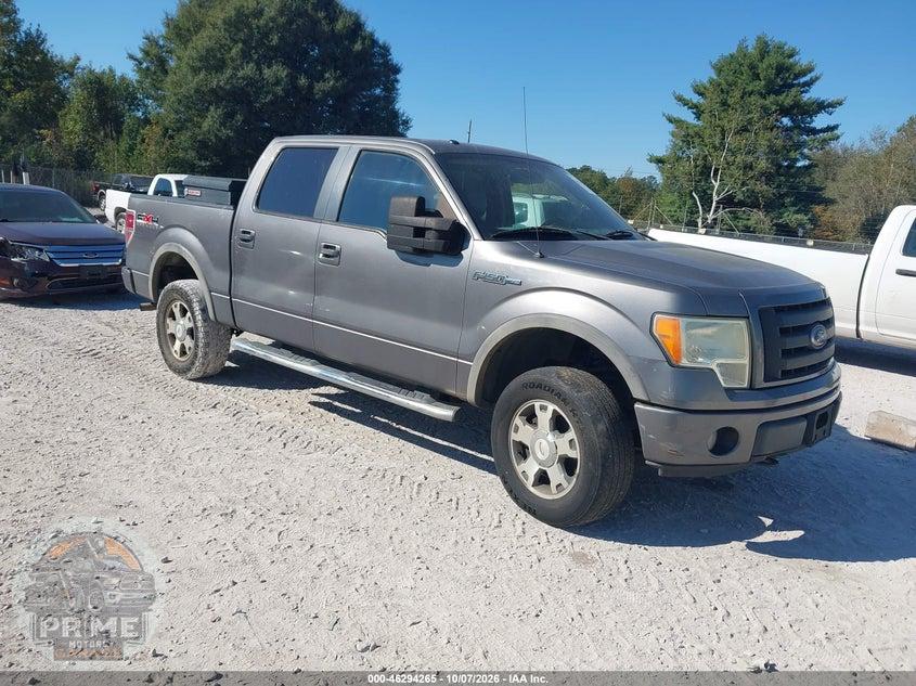 2010 FORD F-150 FX4/HARLEY-DAVIDSON/KING RANCH/LARIAT/PLATINUM/XL/XLT