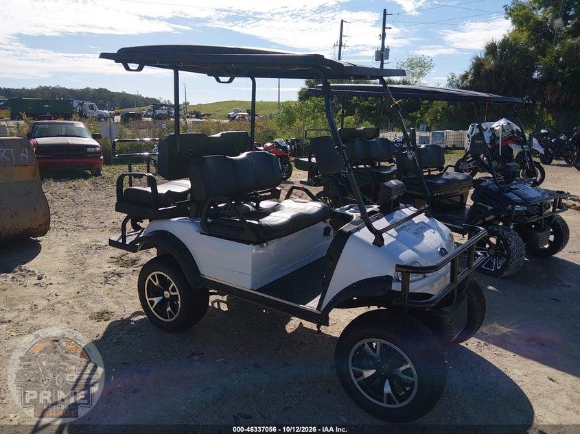 2022 EVOLUTION GOLF CART