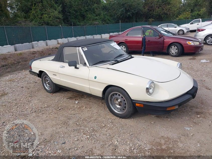 1987 ALFA ROMEO SPIDER GRADUATE