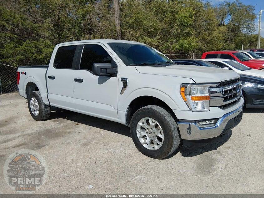 2023 FORD F-150 XLT
