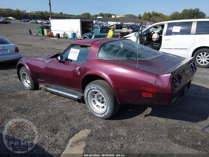 1981 CHEVROLET CORVETTE — фото 3
