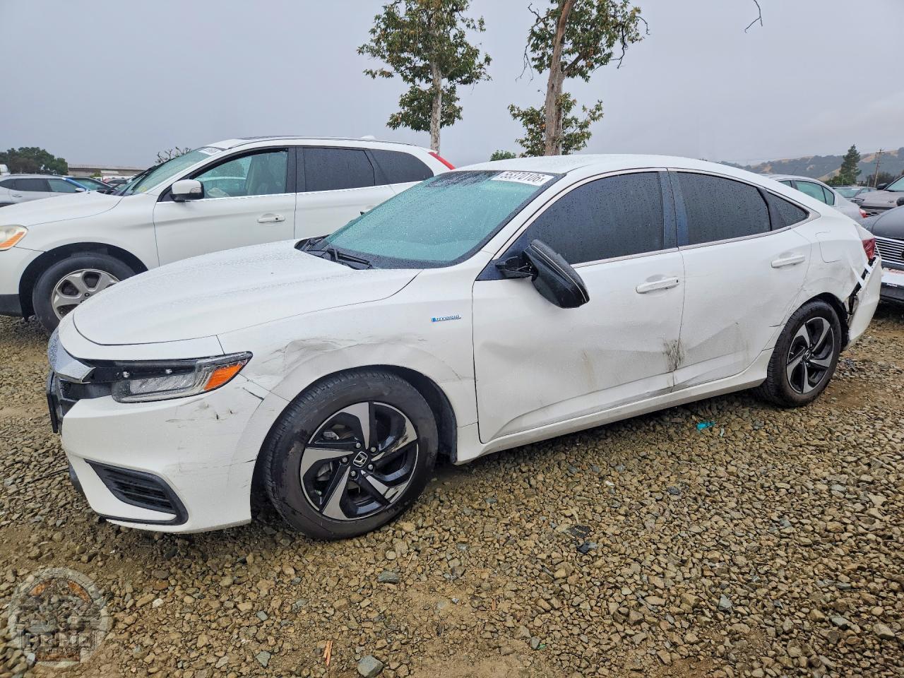 2021 HONDA INSIGHT — фото 1