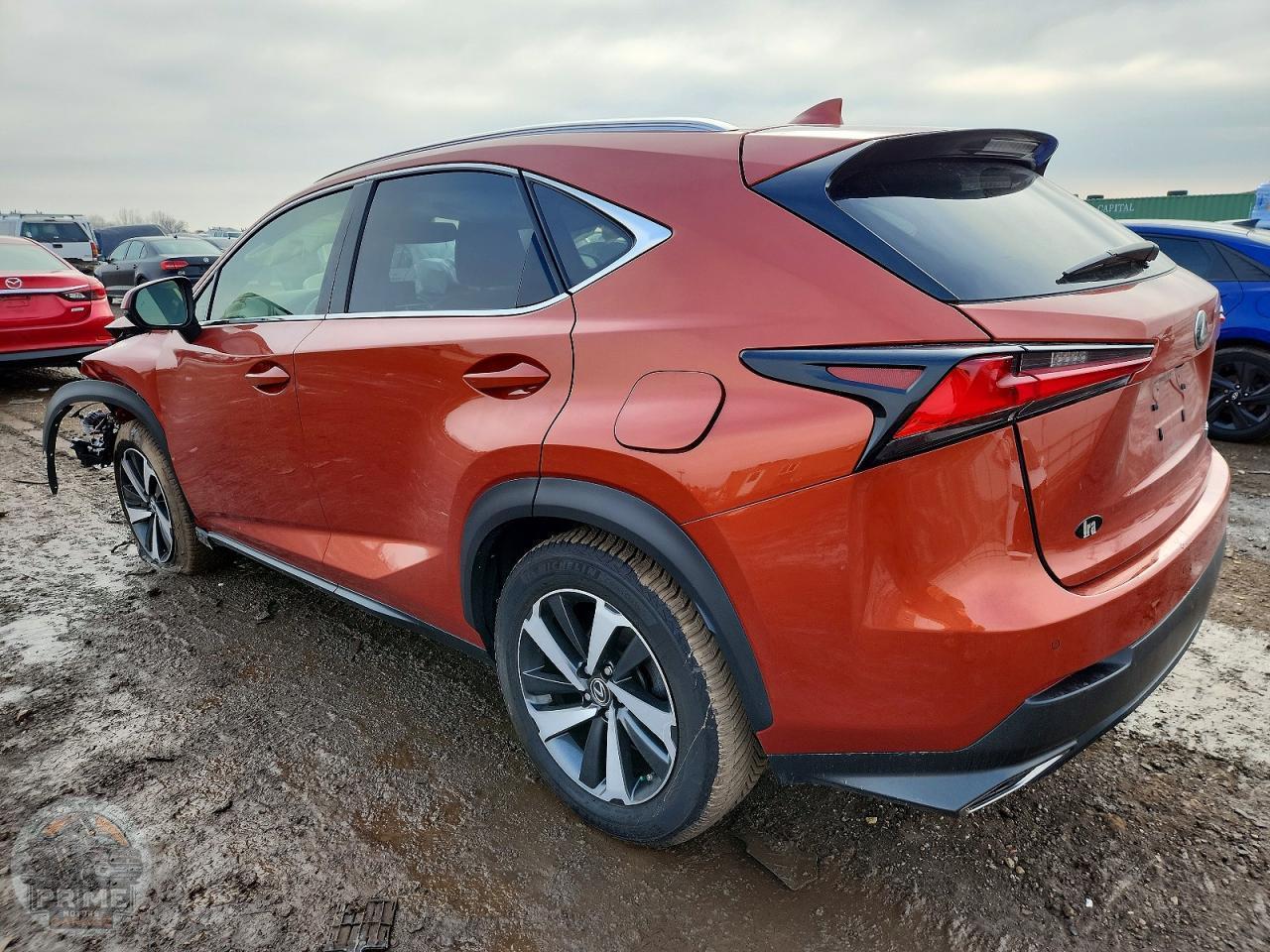 2021 LEXUS NX — фото 3