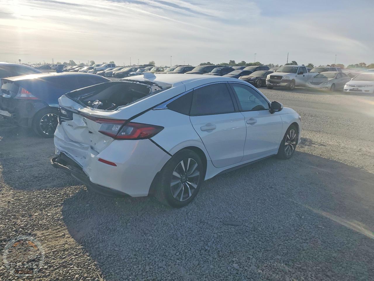 2024 HONDA CIVIC — фото 3