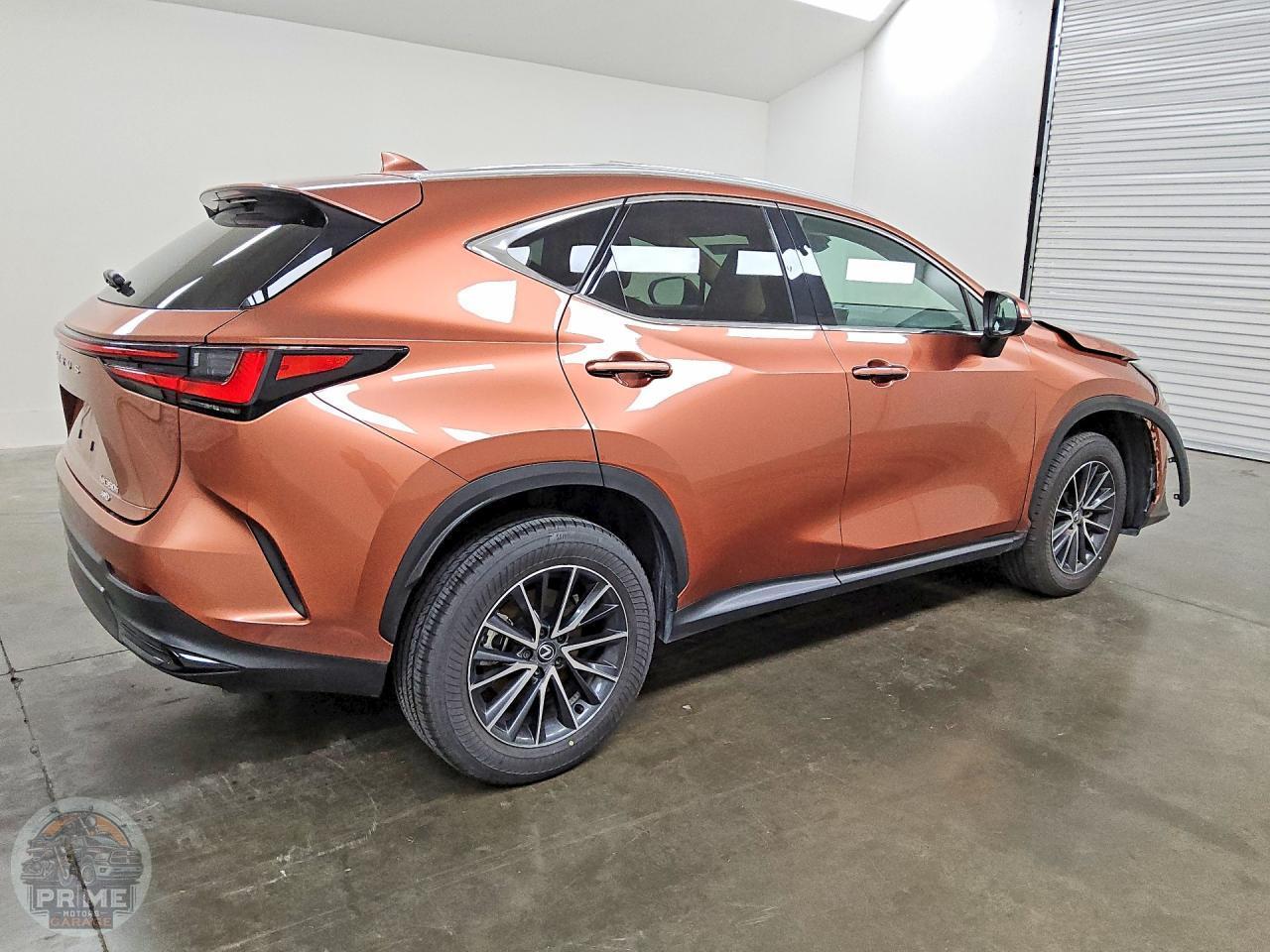 2025 LEXUS NX — фото 3