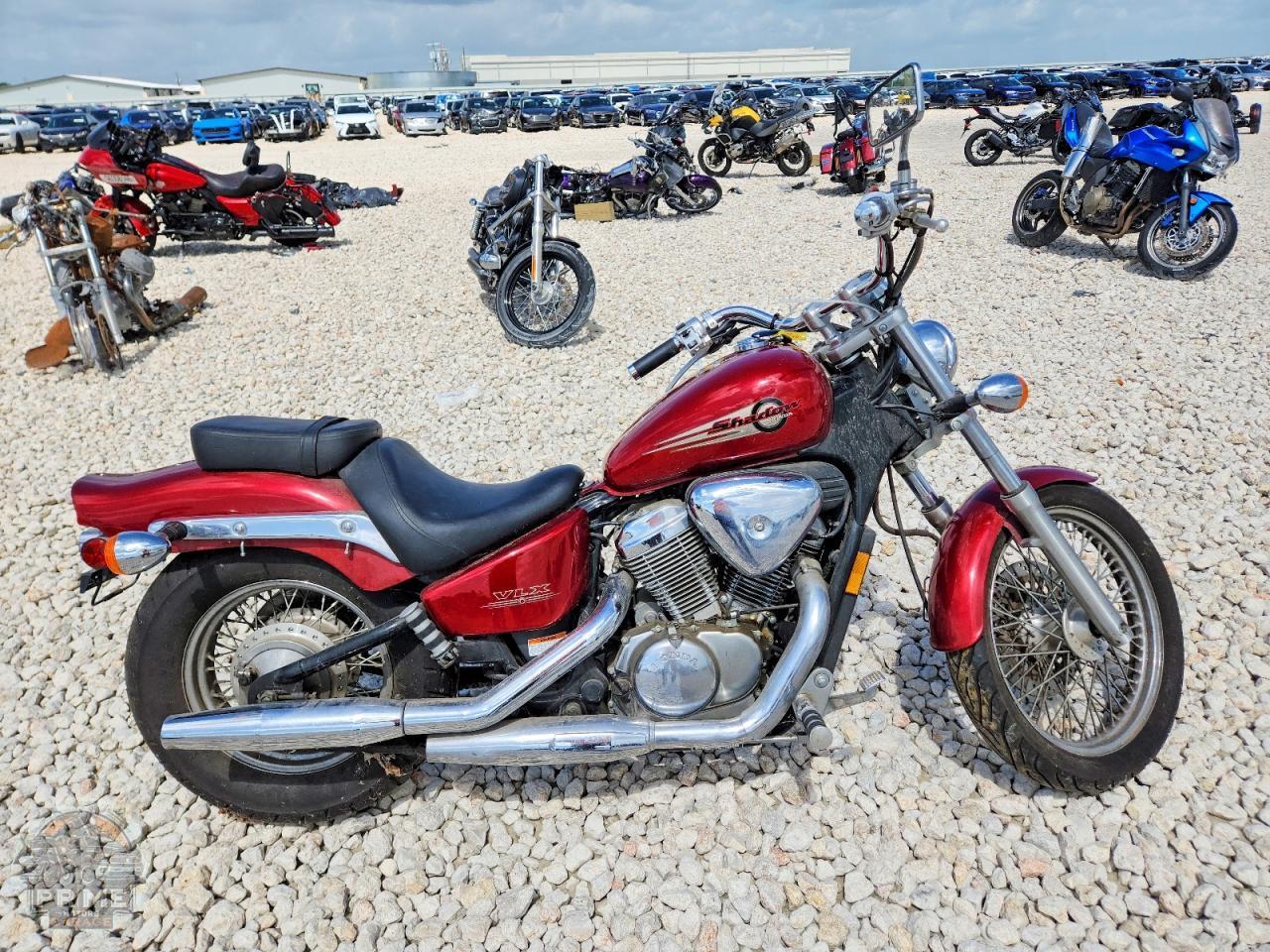2003 HONDA VT600 — фото 1