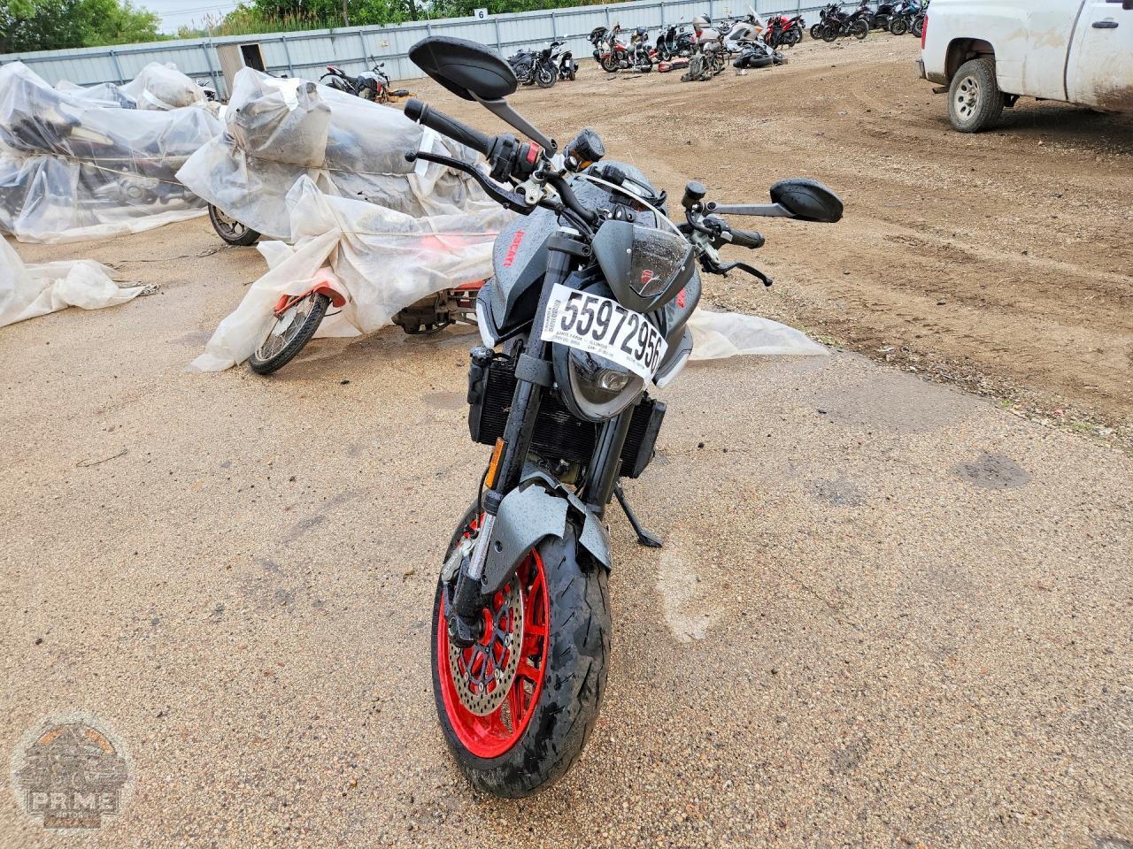 2021 DUCATI MONSTER — фото 2