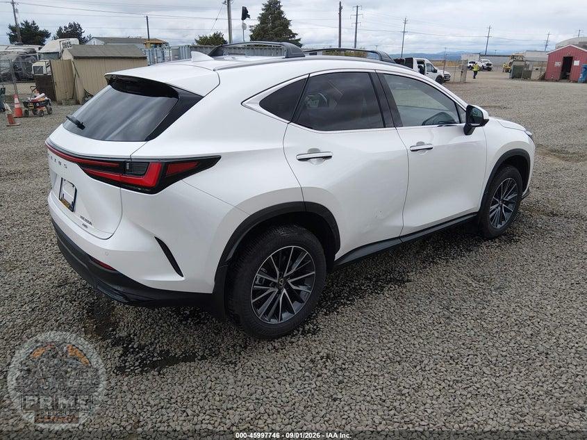 2025 LEXUS NX 350H PREMIUM — фото 4