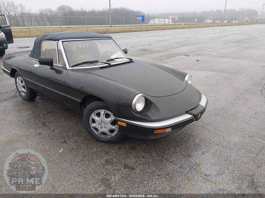 1990 ALFA ROMEO SPIDER GRADUATE — фото 1