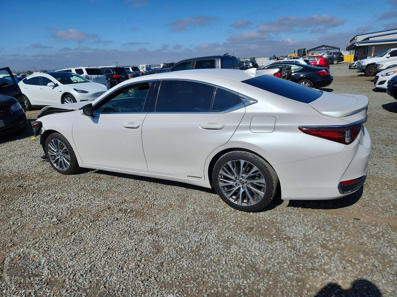 2021 LEXUS ES — фото 2