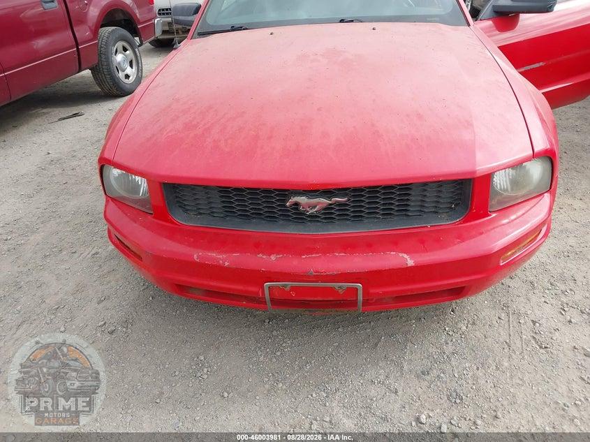 2007 FORD MUSTANG V6 DELUXE/V6 PREMIUM — фото 6
