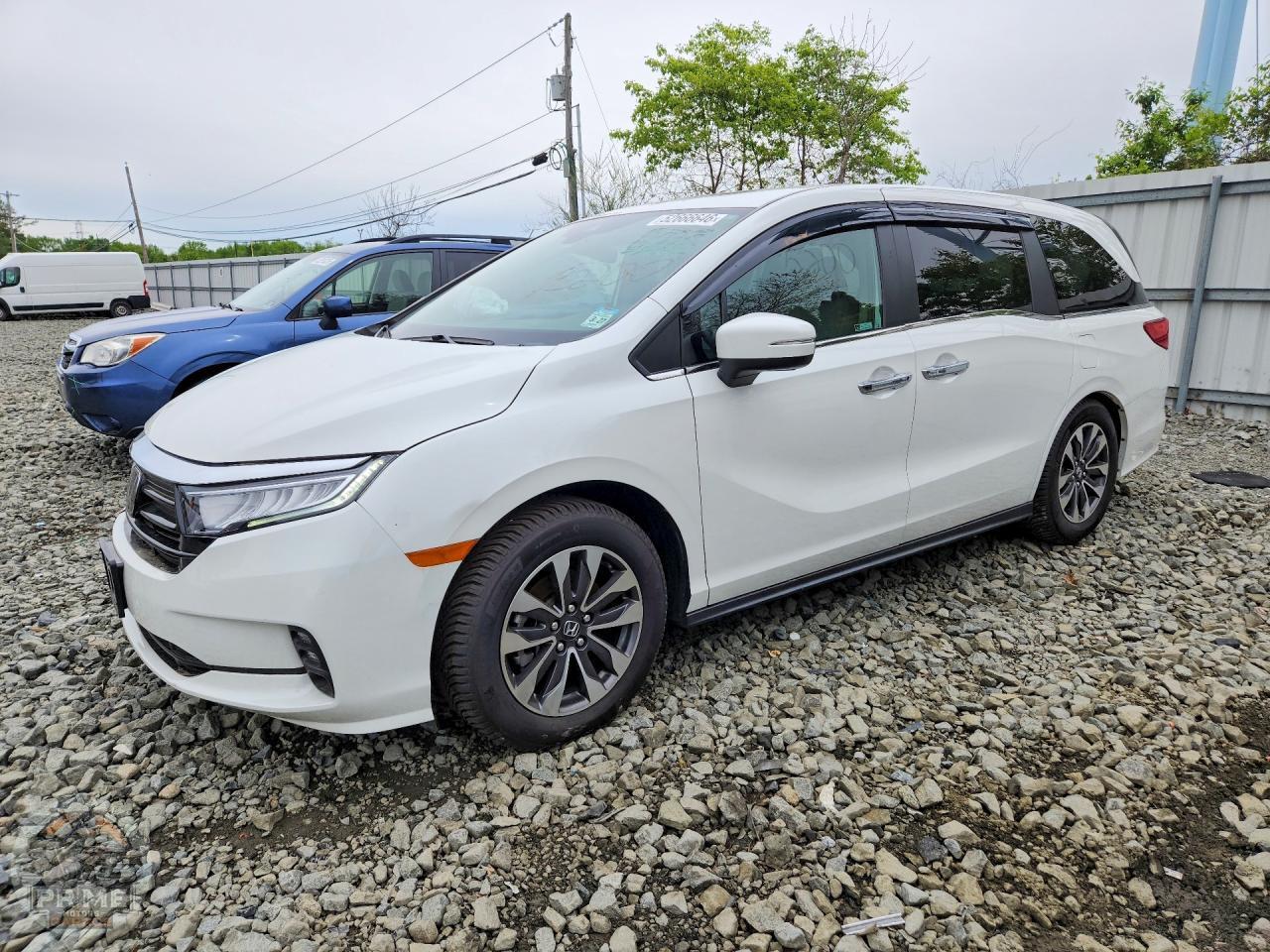 2022 HONDA ODYSSEY — фото 1