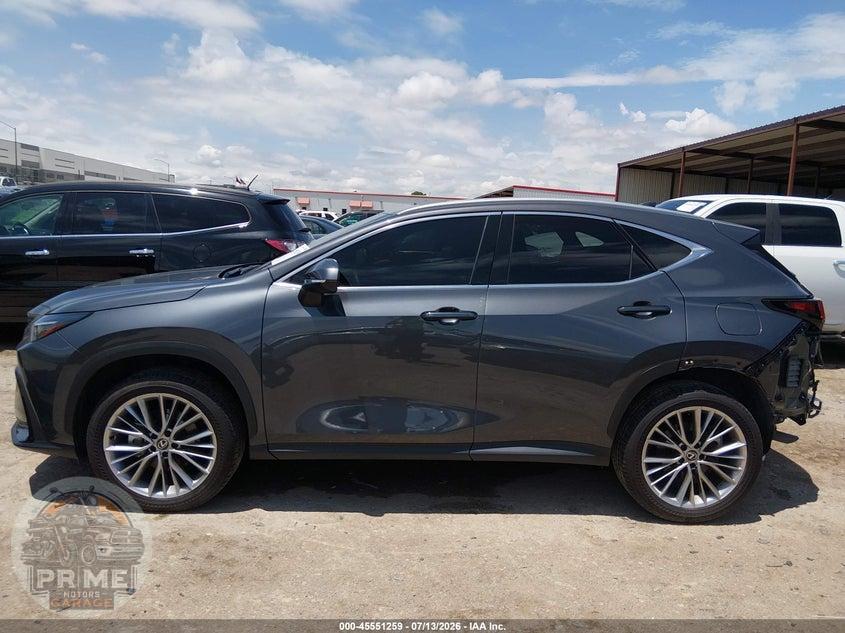 2025 LEXUS NX 350 PREMIUM — фото 14