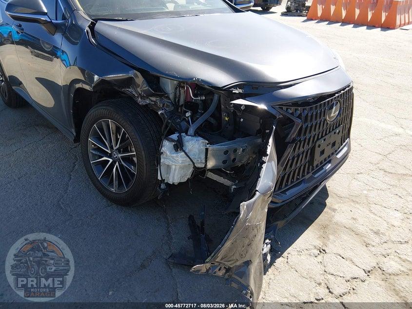 2023 LEXUS NX 350 PREMIUM — фото 6