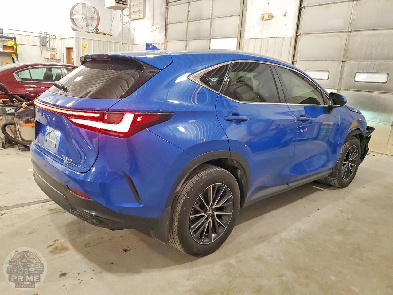 2024 LEXUS NX — фото 3