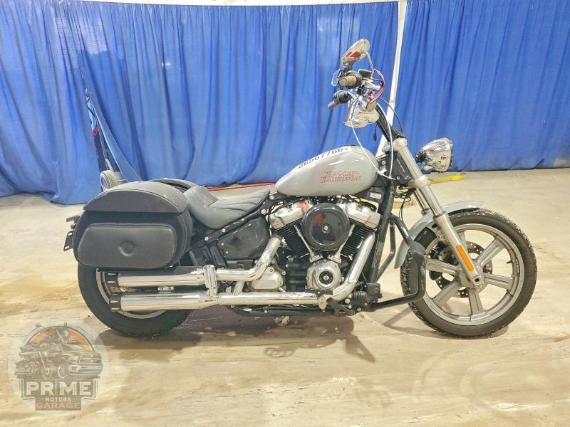 2024 HARLEY-DAVIDSON FXST (SOFTAIL STANDARD) — фото 1